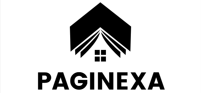 paginexa.com