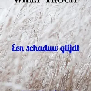 Premium Een schaduw glijdt