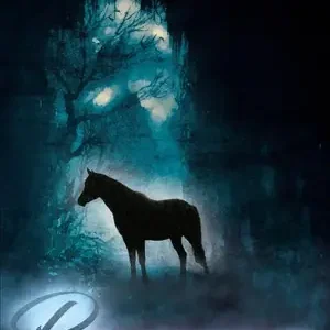 Betaalbaar Ruiters van de nacht