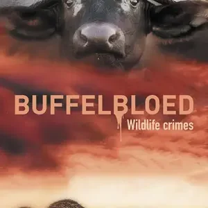 Buffelbloed Koop Vandaag