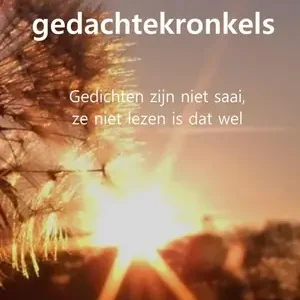 Hete Deal Proza en andere gedachtekronkels