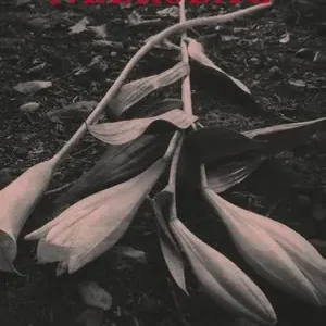 Neerslag Gratis Retour