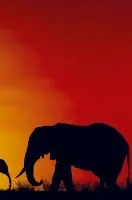 Abenteuer Kenia Korting