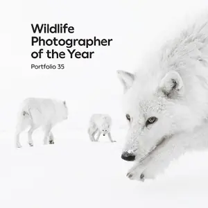 Wildlife Photographer of the Year: Portfolio 35 Korting