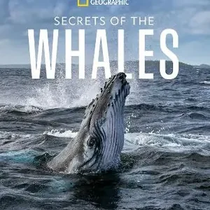 Actieprijs Secrets of the Whales