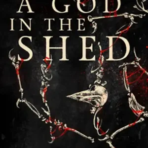 A God in the Shed Superprijs