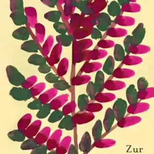 Zur Ruhe kommen Fabrieksprijs