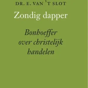 Zondig dapper (e-book) Favoriet