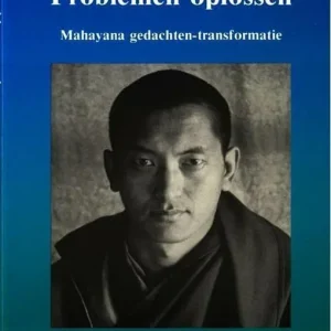 Nu Kopen Problemen oplossen