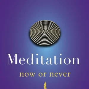Finale Uitverkoop Meditation Now Or Never