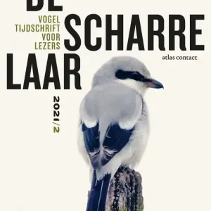 Beperkte Voorraad De Scharrelaar 6 – De scharrelaar 2021/2